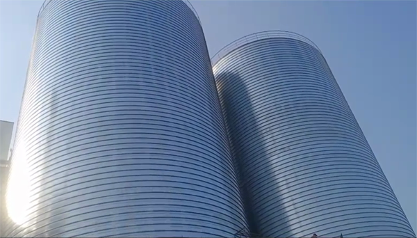 荣昌2座混凝土高架卷板仓